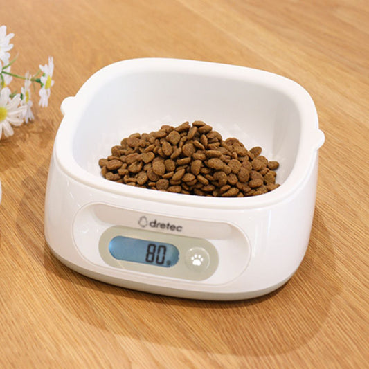 Хоолны жин /амьтны/