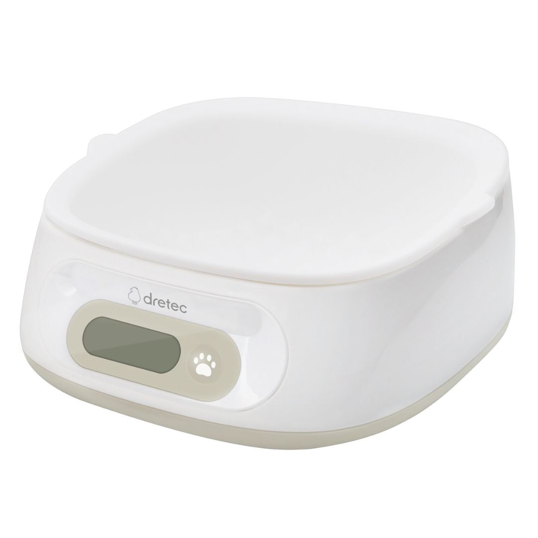 Хоолны жин /амьтны/